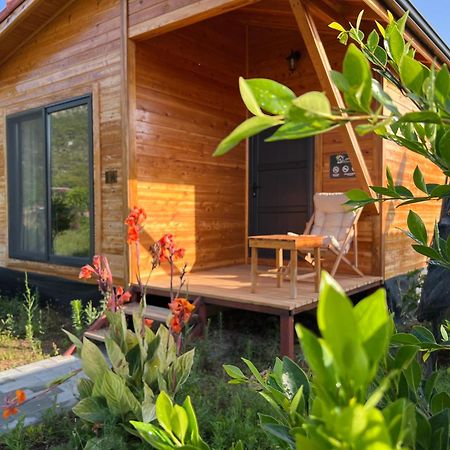 Çıralı Lemon Garden Lodge מראה חיצוני תמונה