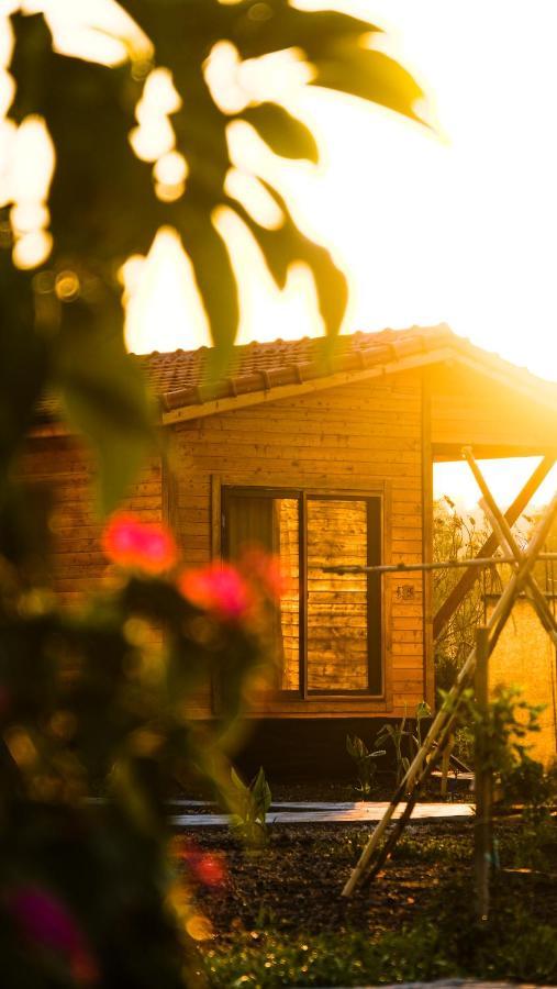 Çıralı Lemon Garden Lodge מראה חיצוני תמונה