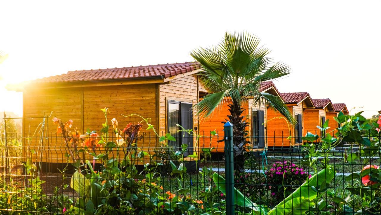 Çıralı Lemon Garden Lodge מראה חיצוני תמונה