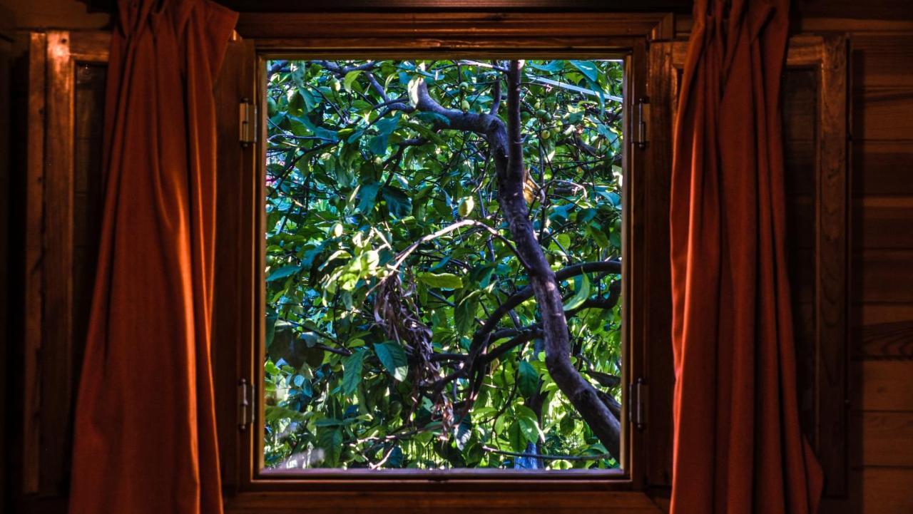 Çıralı Lemon Garden Lodge מראה חיצוני תמונה