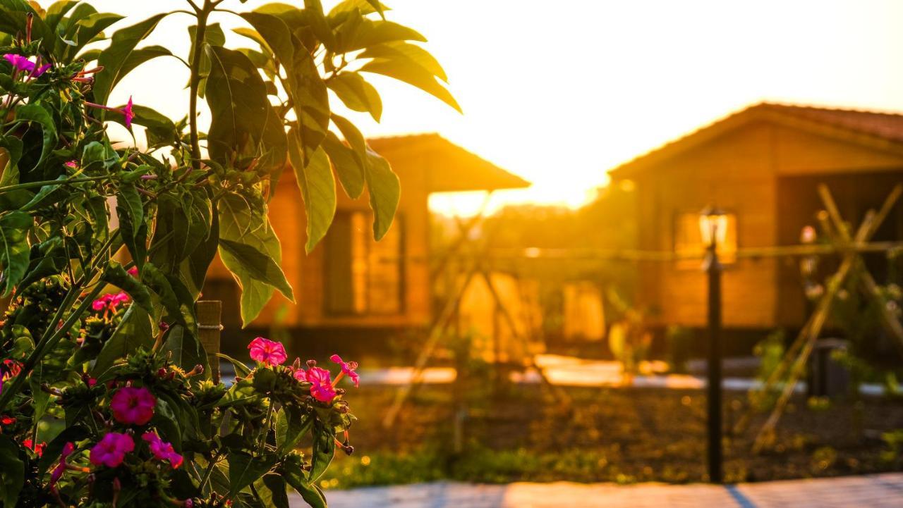 Çıralı Lemon Garden Lodge מראה חיצוני תמונה
