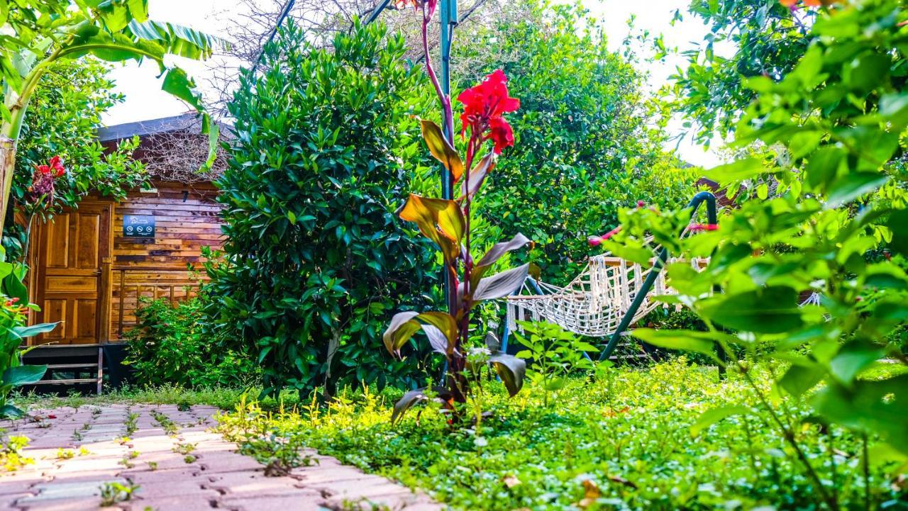 Çıralı Lemon Garden Lodge מראה חיצוני תמונה