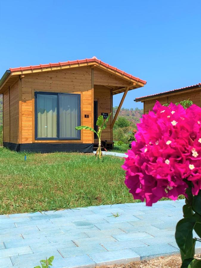 Çıralı Lemon Garden Lodge מראה חיצוני תמונה