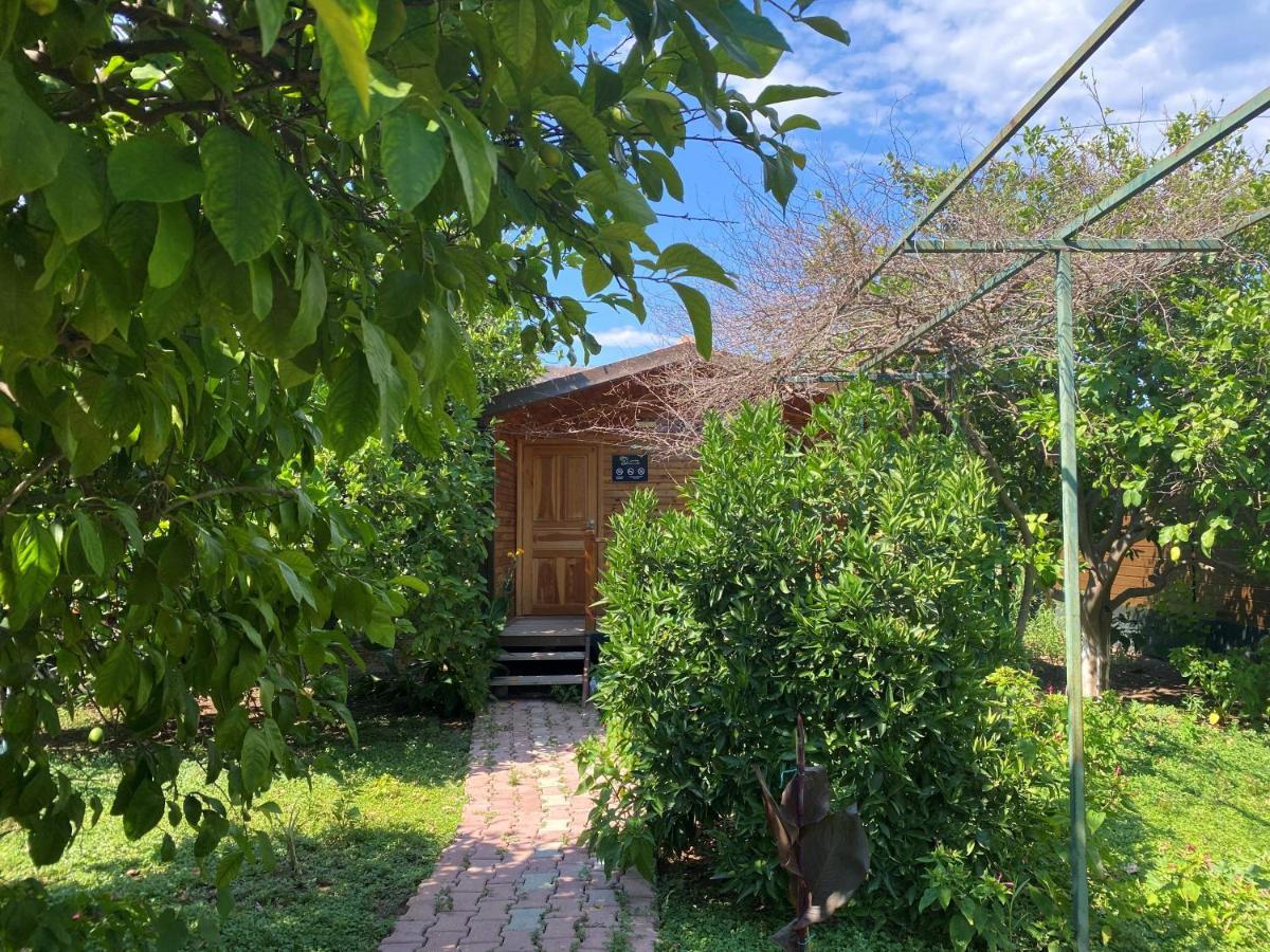 Çıralı Lemon Garden Lodge מראה חיצוני תמונה