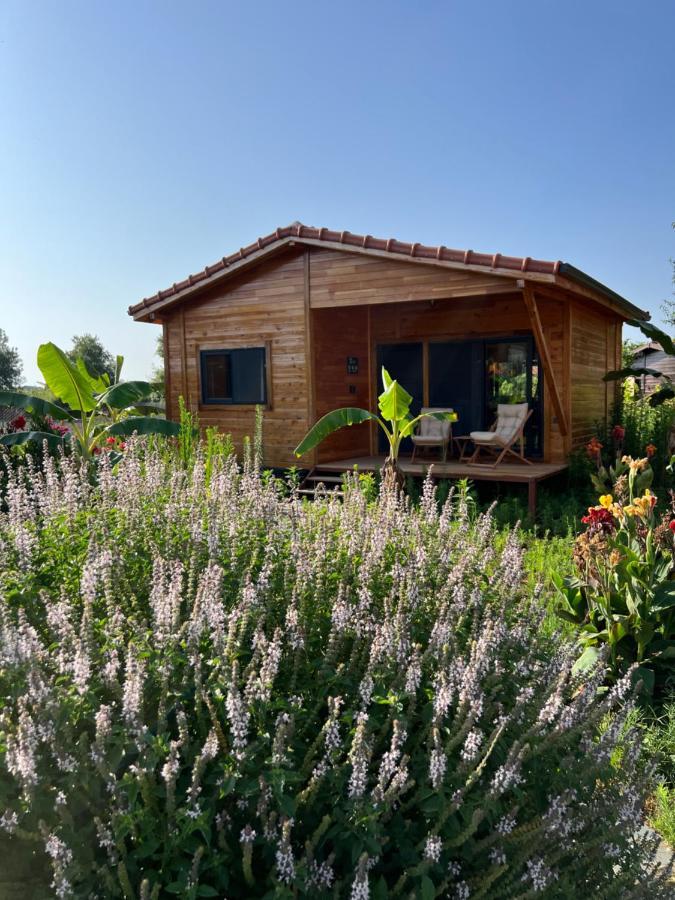 Çıralı Lemon Garden Lodge מראה חיצוני תמונה