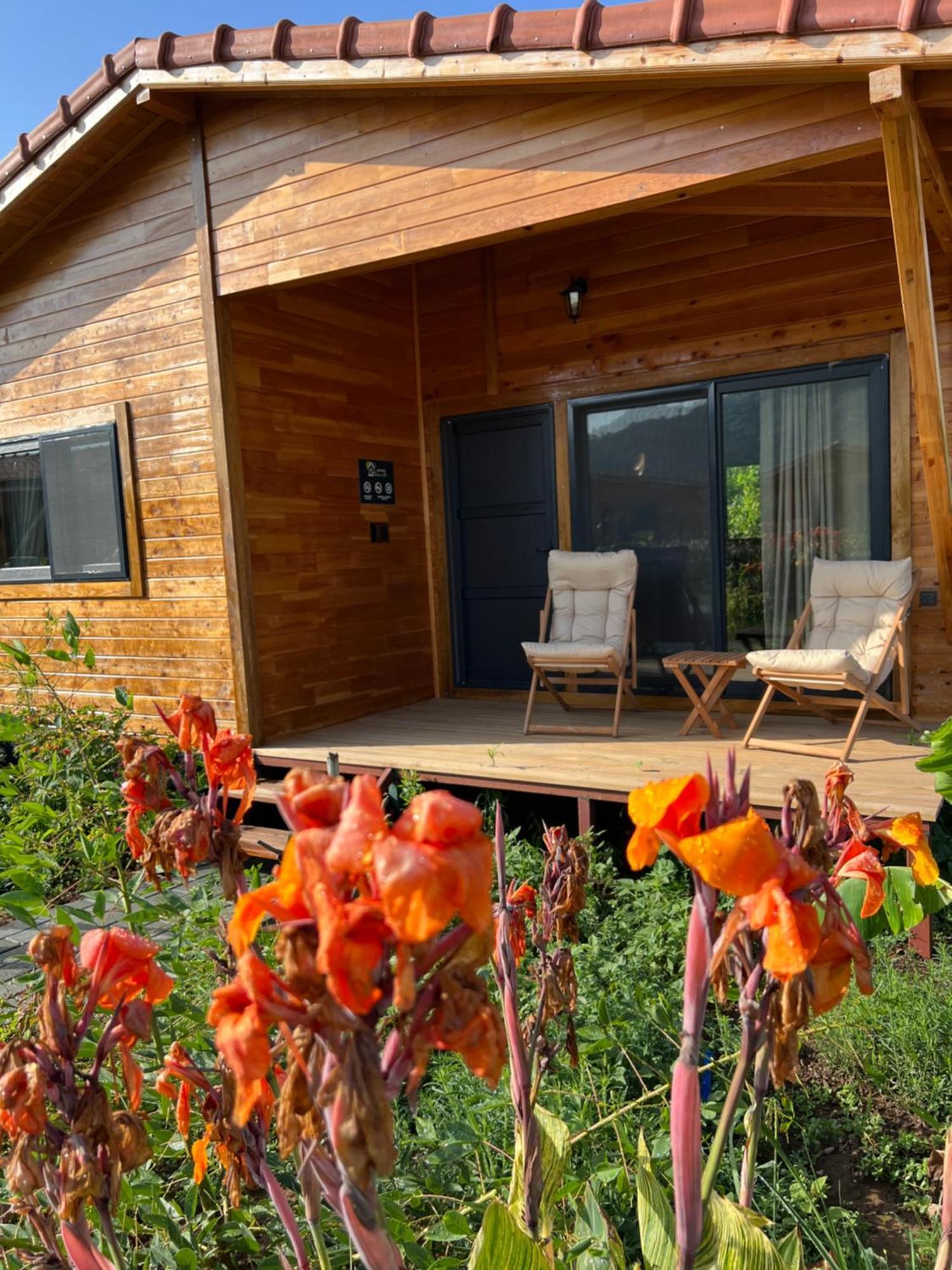 Çıralı Lemon Garden Lodge מראה חיצוני תמונה
