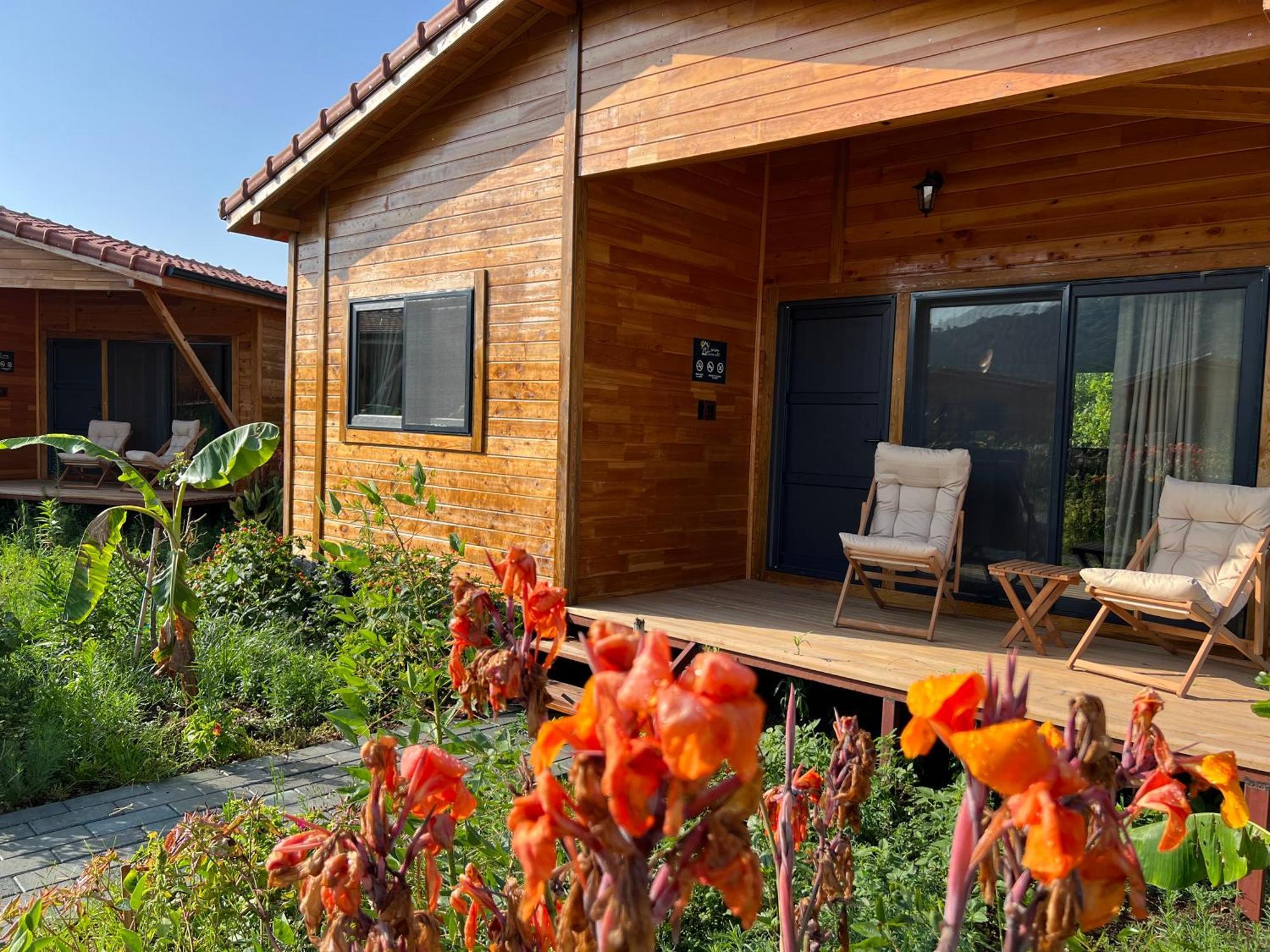 Çıralı Lemon Garden Lodge מראה חיצוני תמונה