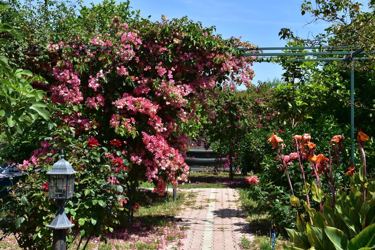 Çıralı Lemon Garden Lodge מראה חיצוני תמונה
